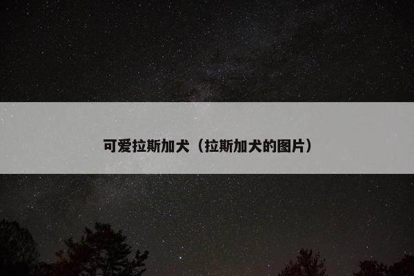 可爱拉斯加犬（拉斯加犬的图片）