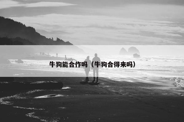 牛狗能合作吗（牛狗合得来吗）
