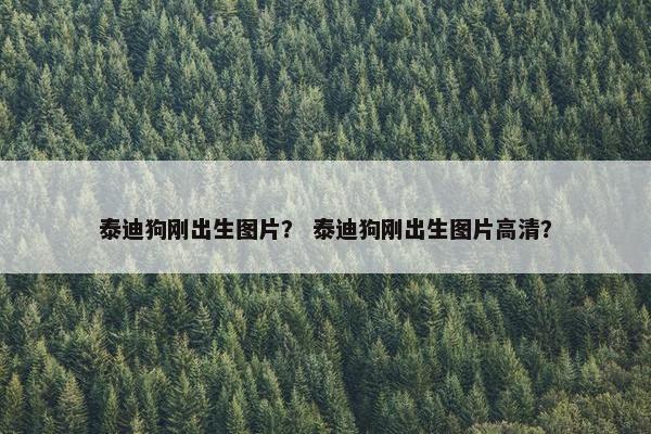 泰迪狗刚出生图片？ 泰迪狗刚出生图片高清？