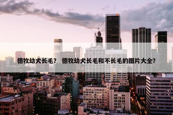 德牧幼犬长毛？ 德牧幼犬长毛和不长毛的图片大全？