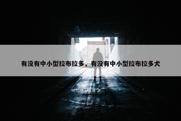 有没有中小型拉布拉多，有没有中小型拉布拉多犬