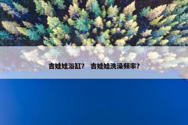 吉娃娃浴缸？ 吉娃娃洗澡频率？