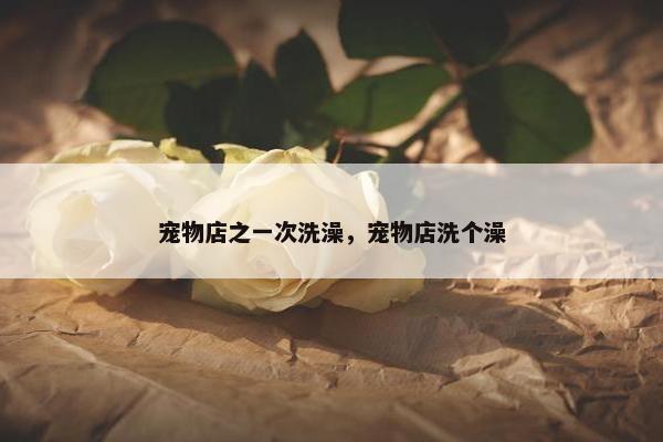 宠物店之一次洗澡，宠物店洗个澡