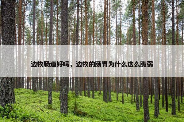 边牧肠道好吗，边牧的肠胃为什么这么脆弱