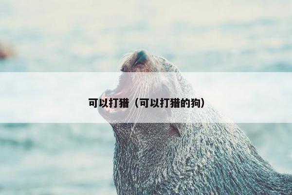 可以打猎（可以打猎的狗）