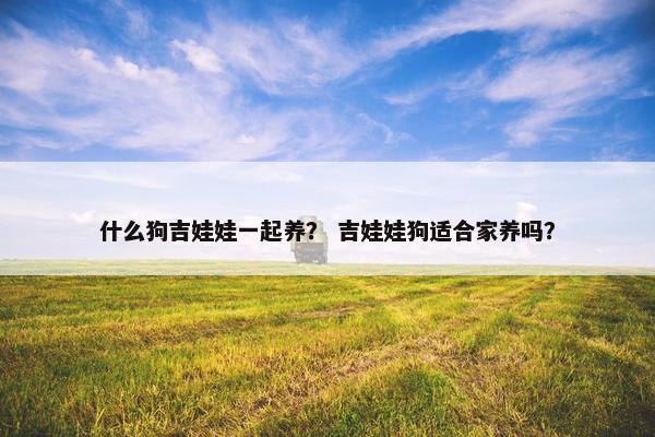 什么狗吉娃娃一起养？ 吉娃娃狗适合家养吗？