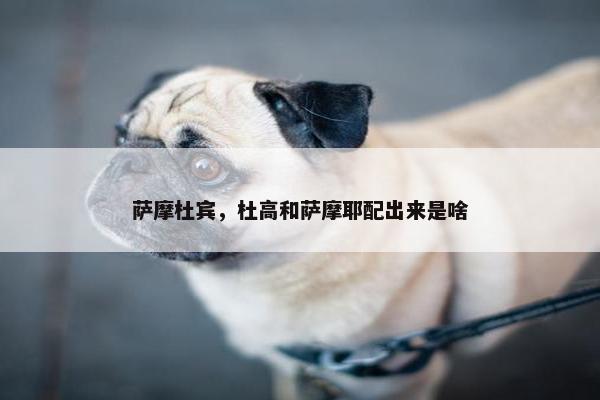 萨摩杜宾，杜高和萨摩耶配出来是啥