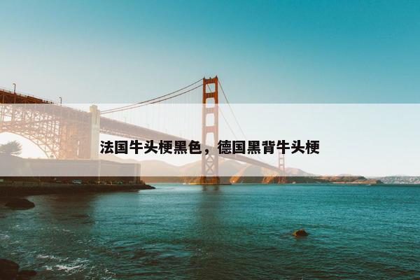 法国牛头梗黑色，德国黑背牛头梗