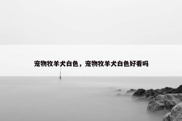 宠物牧羊犬白色，宠物牧羊犬白色好看吗