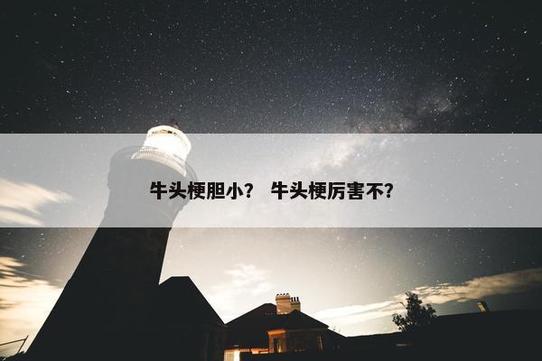 牛头梗胆小？ 牛头梗厉害不？