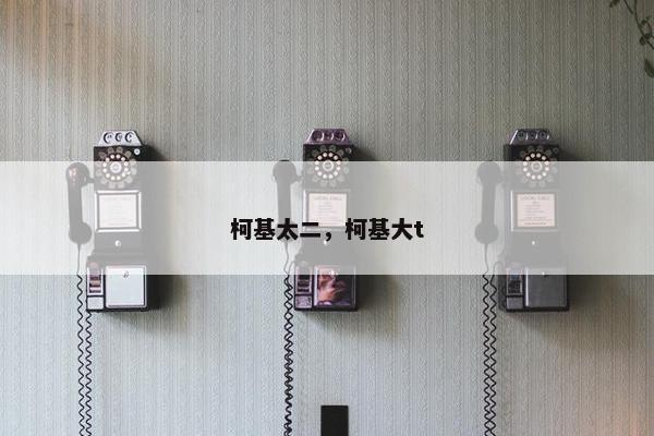 柯基太二，柯基大t