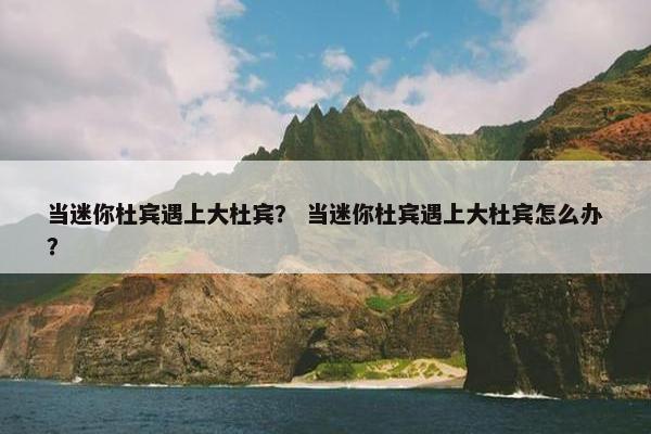 当迷你杜宾遇上大杜宾？ 当迷你杜宾遇上大杜宾怎么办？