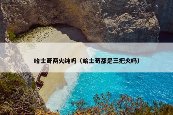 哈士奇两火纯吗（哈士奇都是三把火吗）