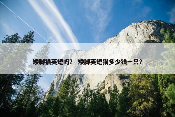 矮脚猫英短吗？ 矮脚英短猫多少钱一只？