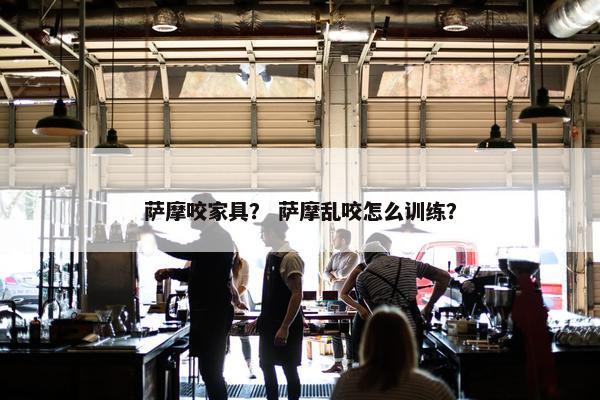 萨摩咬家具？ 萨摩乱咬怎么训练？