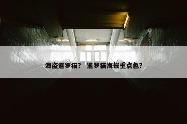 海盗暹罗猫？ 暹罗猫海报重点色？