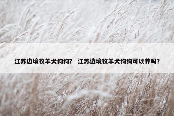 江苏边境牧羊犬狗狗？ 江苏边境牧羊犬狗狗可以养吗？