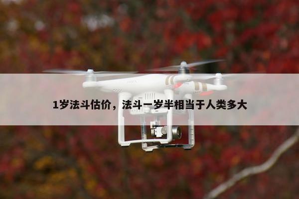 1岁法斗估价，法斗一岁半相当于人类多大