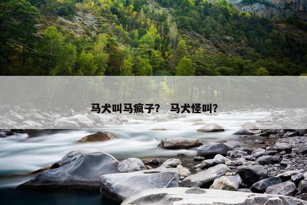 马犬叫马疯子？ 马犬怪叫？