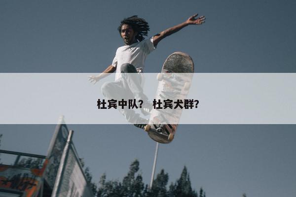 杜宾中队？ 杜宾犬群？