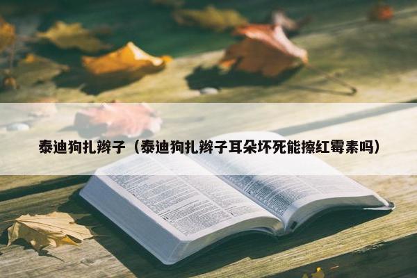 泰迪狗扎辫子（泰迪狗扎辫子耳朵坏死能擦红霉素吗）