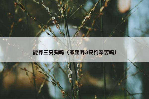 能养三只狗吗（家里养3只狗辛苦吗）