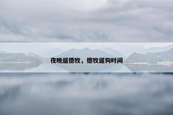 夜晚遛德牧，德牧遛狗时间