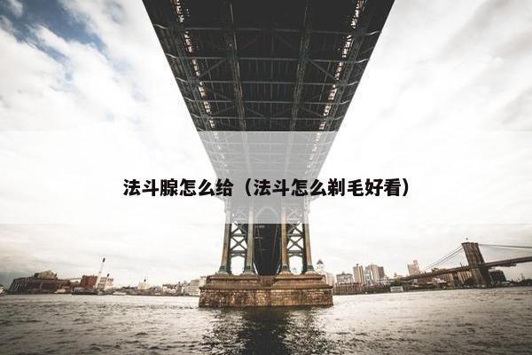 法斗腺怎么给（法斗怎么剃毛好看）