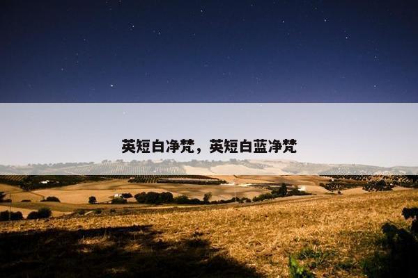 英短白净梵，英短白蓝净梵