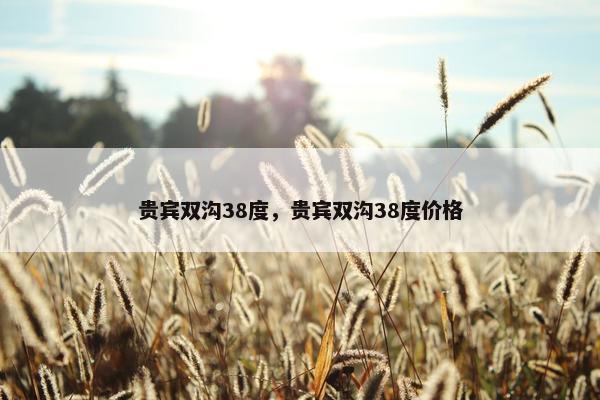 贵宾双沟38度，贵宾双沟38度价格