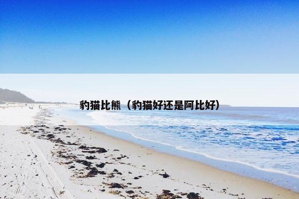 豹猫比熊（豹猫好还是阿比好）