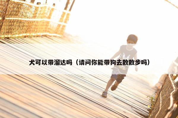犬可以带溜达吗（请问你能带狗去散散步吗）