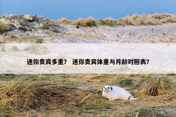 迷你贵宾多重？ 迷你贵宾体重与月龄对照表？