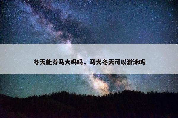 冬天能养马犬吗吗，马犬冬天可以游泳吗