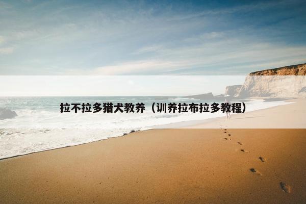 拉不拉多猎犬教养（训养拉布拉多教程）