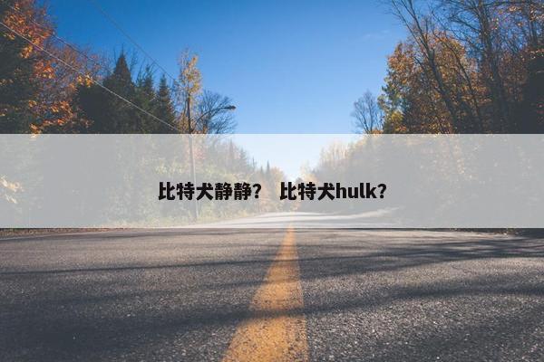 比特犬静静？ 比特犬hulk？
