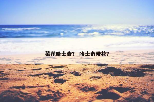 菜花哈士奇？ 哈士奇带花？