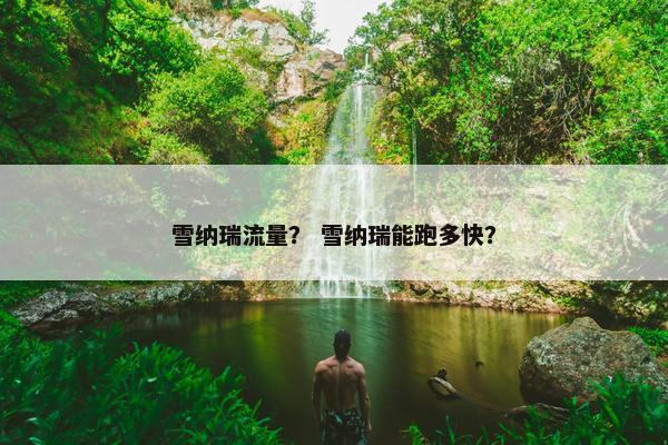 雪纳瑞流量？ 雪纳瑞能跑多快？