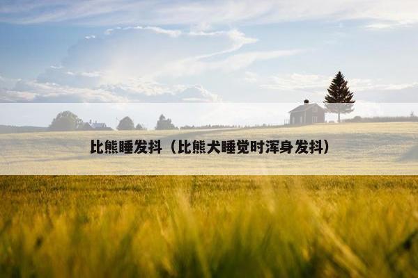 比熊睡发抖（比熊犬睡觉时浑身发抖）