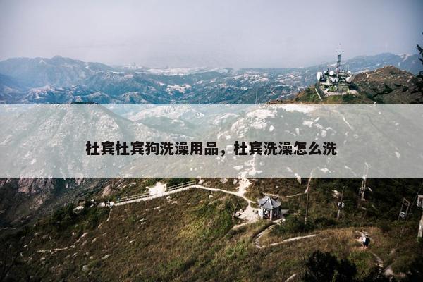 杜宾杜宾狗洗澡用品，杜宾洗澡怎么洗