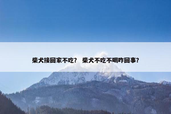柴犬接回家不吃？ 柴犬不吃不喝咋回事？