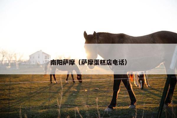 南阳萨摩（萨摩蛋糕店电话）