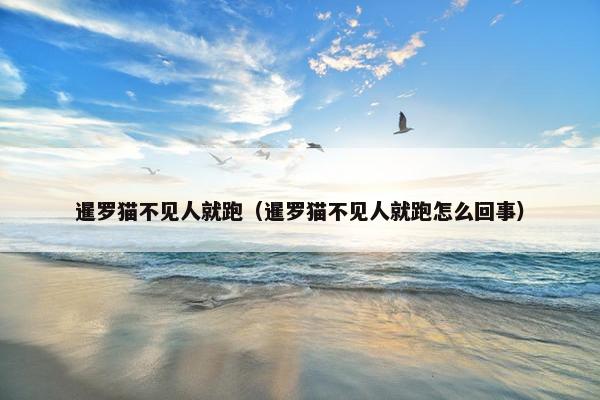 暹罗猫不见人就跑（暹罗猫不见人就跑怎么回事）