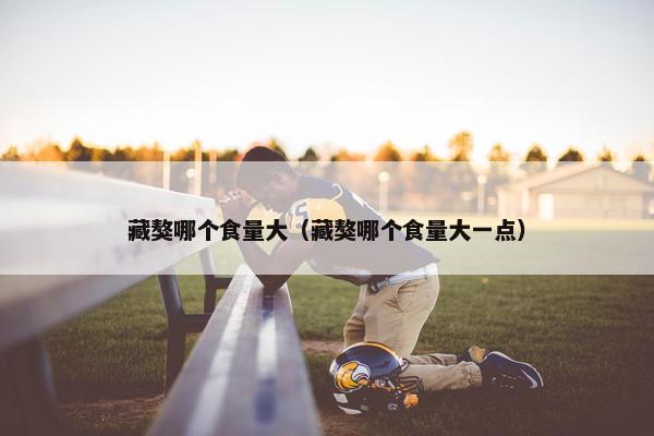 藏獒哪个食量大（藏獒哪个食量大一点）