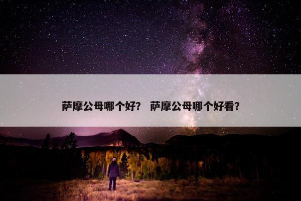 萨摩公母哪个好？ 萨摩公母哪个好看？