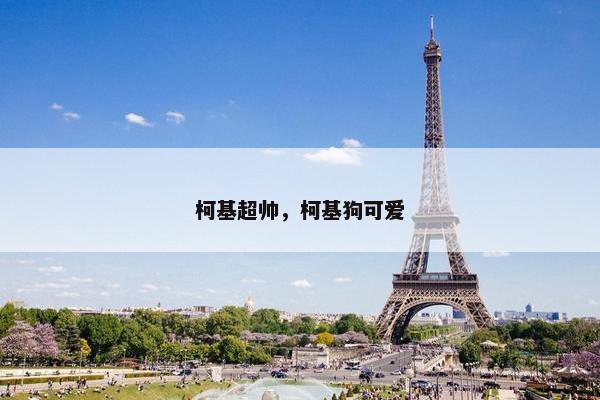 柯基超帅，柯基狗可爱