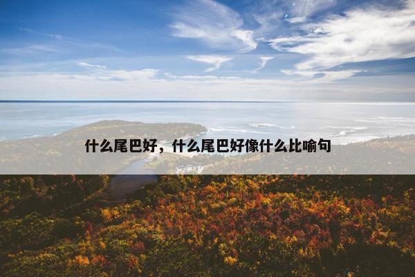 什么尾巴好，什么尾巴好像什么比喻句