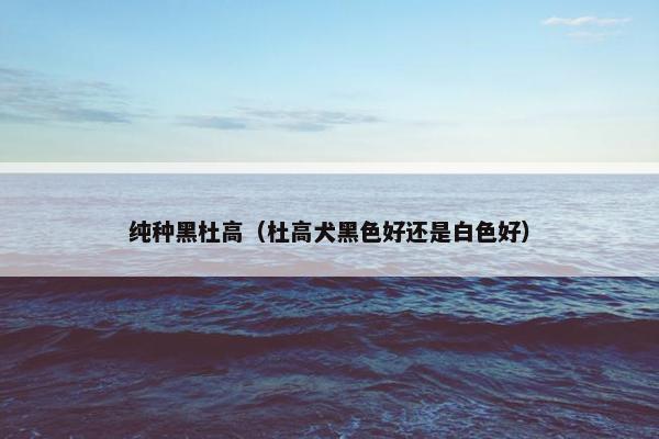 纯种黑杜高（杜高犬黑色好还是白色好）