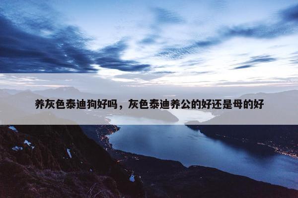 养灰色泰迪狗好吗，灰色泰迪养公的好还是母的好