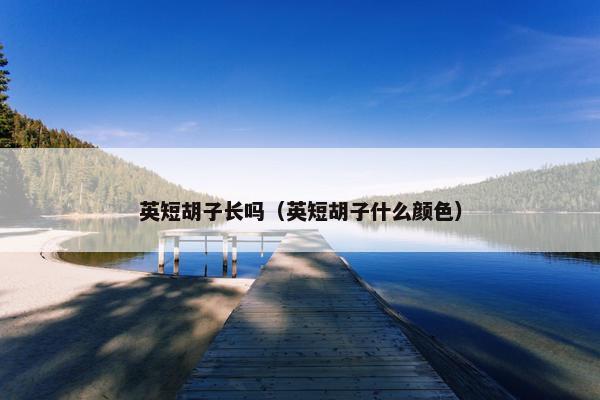 英短胡子长吗（英短胡子什么颜色）